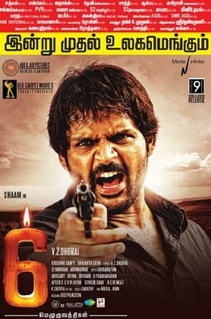 6 Candles (2013) Hindi Dubbed [950MB] - Movierulz