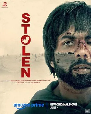 Stolen 2025 Hindi - Movierulz