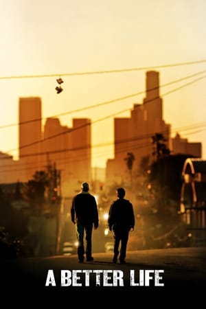 A Better Life (2011) Hindi Dual Audio 340MB - Movierulz