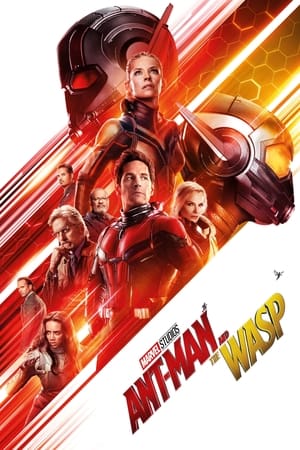 Ant-Man and the Wasp 2018 Movie (English) [300MB] - Movierulz