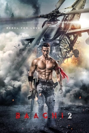 Baaghi 2 2018 Hindi Movie Pre- [170MB] - Movierulz