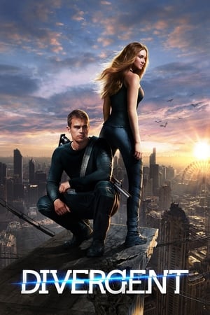 Divergent (2014) 100mb Hindi Dual Audio movie Download - Movierulz