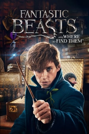 Fantastic Beasts and Where to Find Them 2016 Dual Audio (Hindi) [1.1 GB] - Movierulz