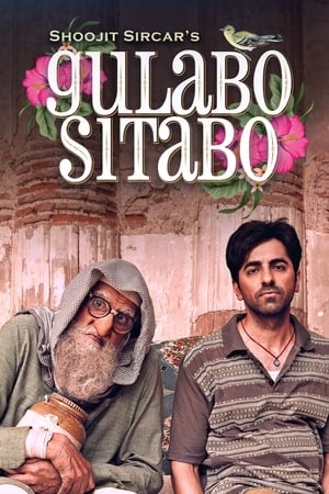 Gulabo Sitabo 2020 Hindi Movie [980MB] - Movierulz
