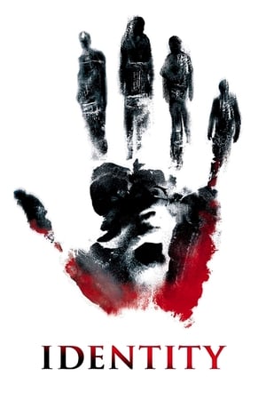 Identity (2003) Hindi Dual Audio 300MB - Movierulz