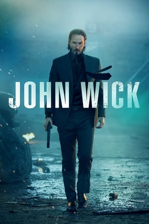John wick 2014 100mb Hindi Dual Audio movie Download - Movierulz