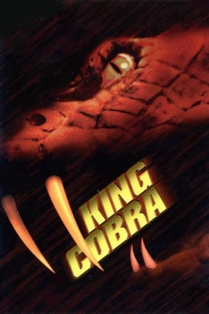 King Cobra 1999 Hindi Dual Audio 300MB - Movierulz
