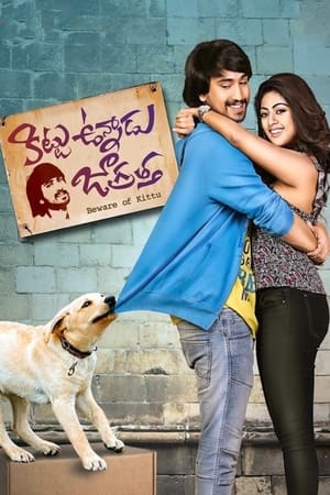 Kittu Unnadu Jagratha 2017 Hindi Dual Audio 400MB - Movierulz