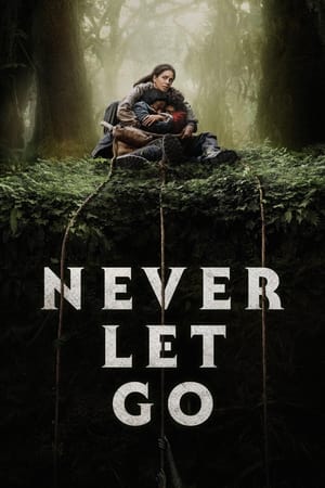 Never Let Go 2024 Hindi Dual Audio – 720p – - Movierulz