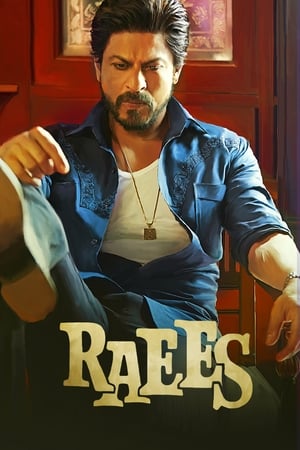 Raees (2017) 400MB Full Movie Download - Movierulz