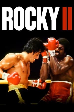 Rocky II (1979) Dual Audio Hindi Full Movie - 850MB - Movierulz