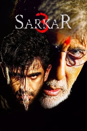Sarkar 3 2017 190mb hindi movie Download - Movierulz