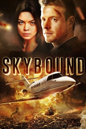 Skybound (2017) Hindi Dual Audio 350MB - Movierulz