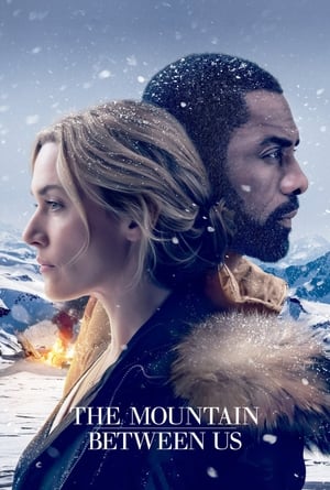 The Mountain Between Us 2017 Dual Audio Hindi 350MB - Movierulz