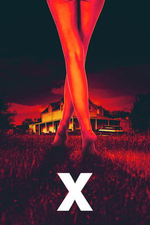 X (2022) Hindi Dual Audio – 480p