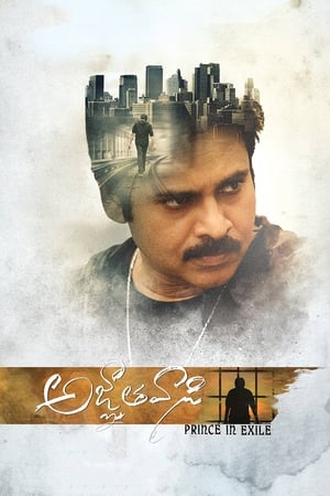 Yevadu 3 (Agnyaathavaasi) 2018 Movie Dual Audio Hindi [1.5GB] - Movierulz